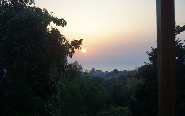 Lemon Factor Sorrento