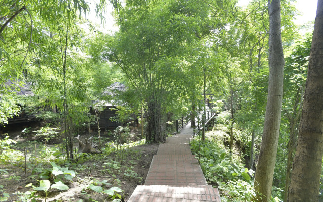 Bago Yoma Eco Resort