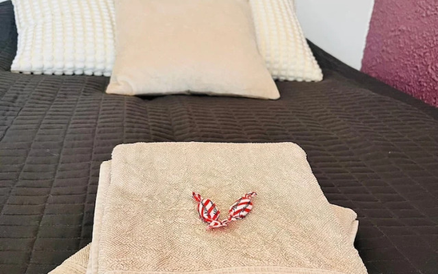 Comfy Studio Apt with Prime Location