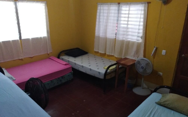 Hostel papagayo