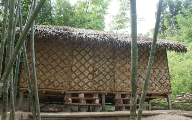 Rain Forest Inn