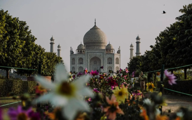 Moustache Agra