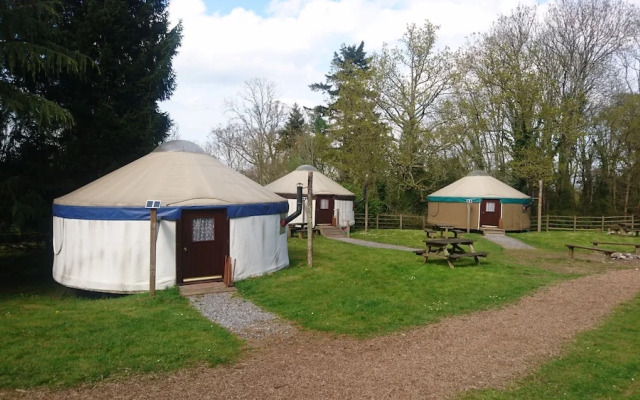 Yurtcamp Devon