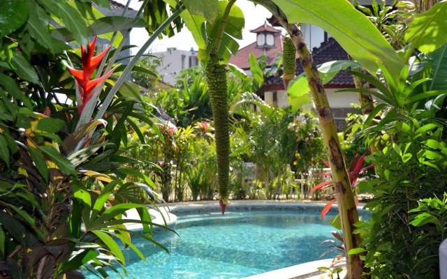 Pearl Boutique Hotel - Adult Only