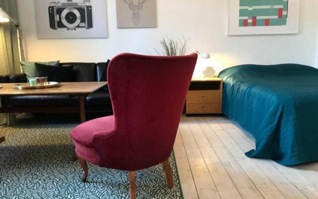 Bohemian and light one room apartment in SoFo 31sqm