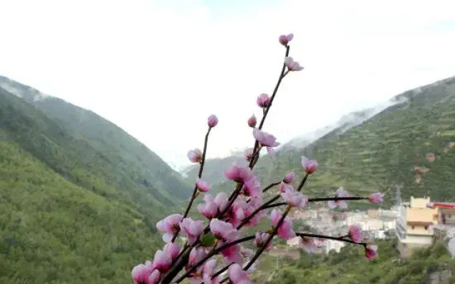 Siguniang Mountain Alpine Hotel