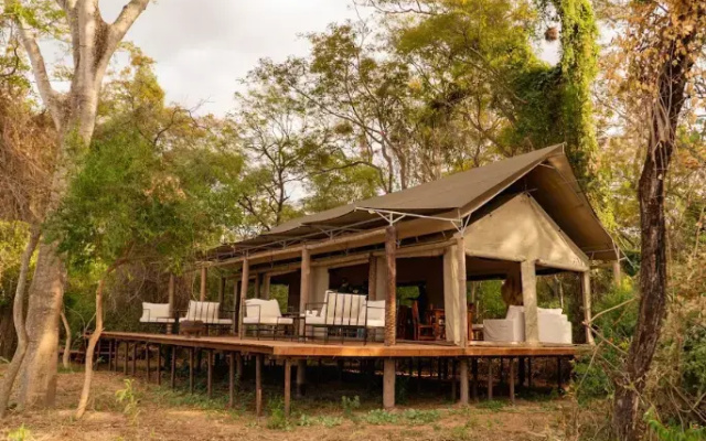 Glamping Los Palmares