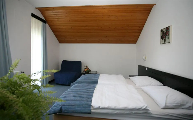 Hotel Bor & Grad Hrib