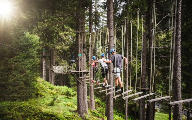 AlpenParks Chalet & Apartment Steve Lodge Viehhofen