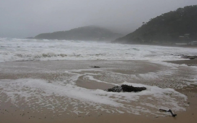 Ocean View with Views Galore