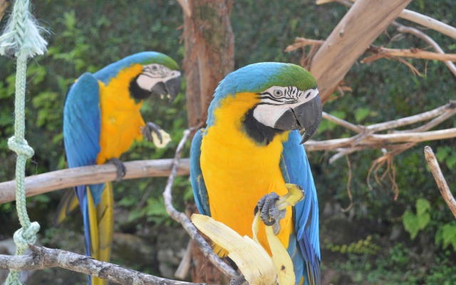 Pousada Terê Parque