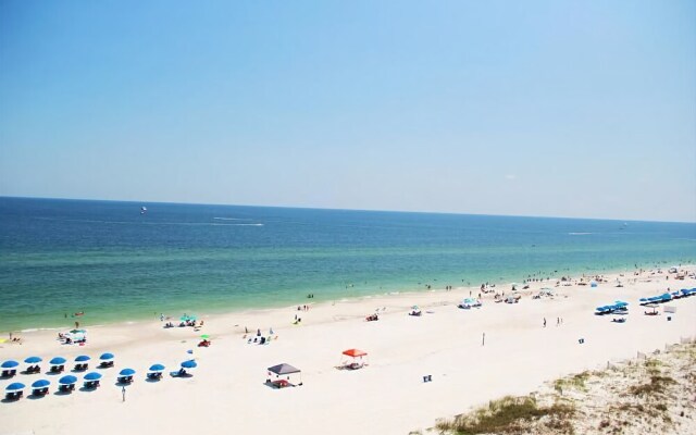 Royal Palms 806NS by RedAwning