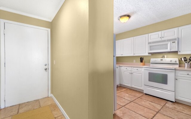 Needle Rush Point F12