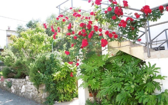 Josi - Free Parking - A3