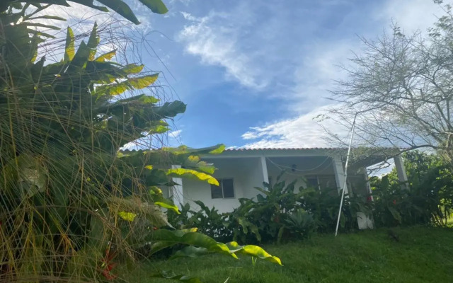 San Juan de los Guayabos