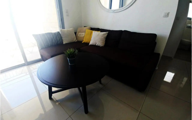 Koral Suite