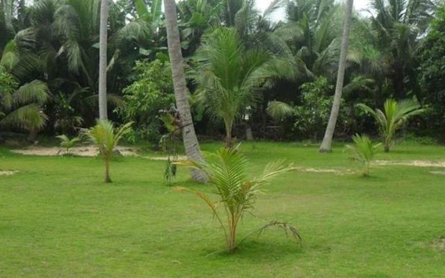 Salad Grand Bungalow & House Rental
