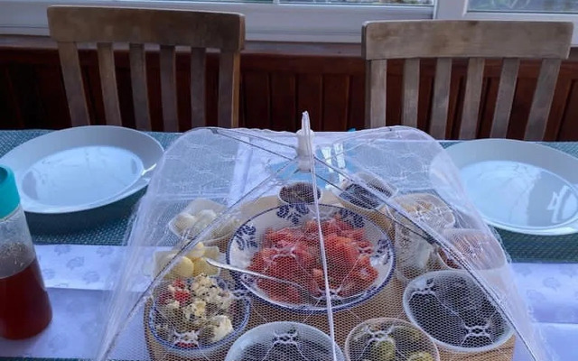 Palmi̇ye Pansi̇yon