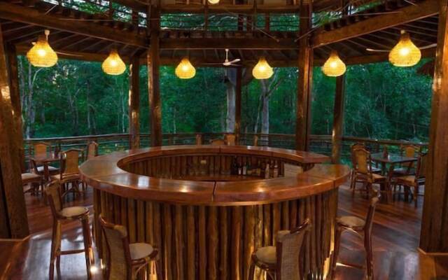 Treehouse Lodge