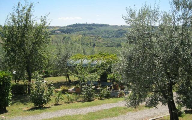 Oliveta