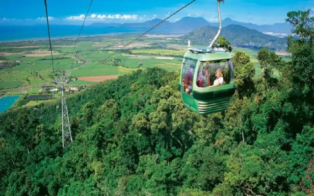 The Balinese
