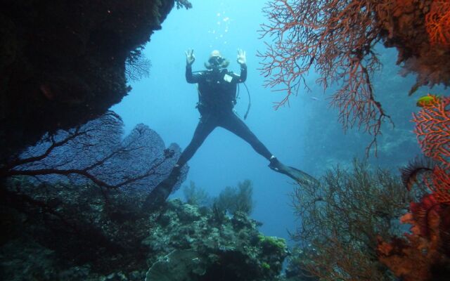 Viani Bay Resort at Dive Academy Fiji