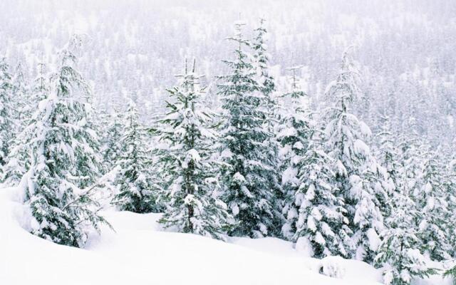 SaffronStays The Cinnamon House, Mussoorie