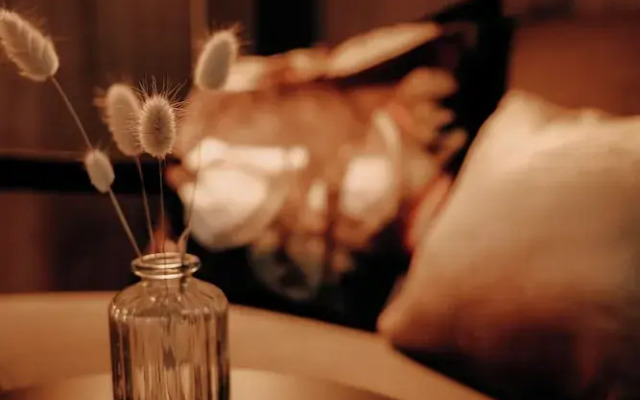 Witte Berken Natuurhotel