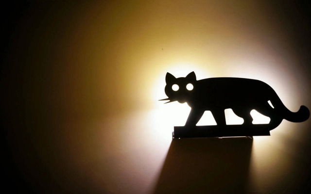 Smokey Cat B&B