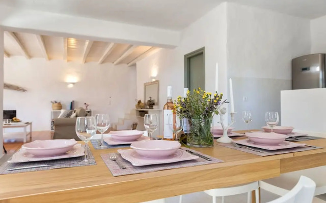 Sun Drop II With Garden - Drios Beach Paros