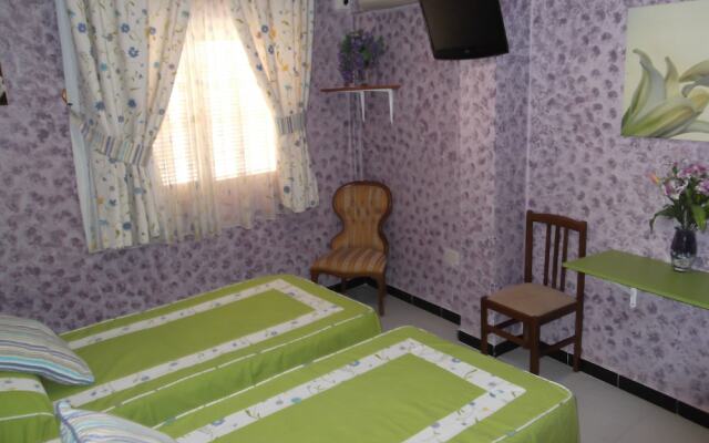Pension Colonia