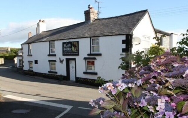 Hawk and Buckle Inn
