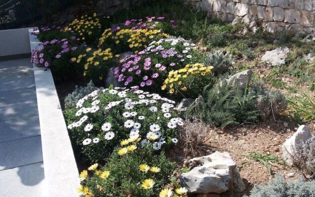 Holiday Rental House