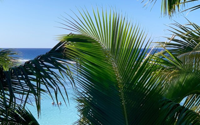 Rarotonga Villas