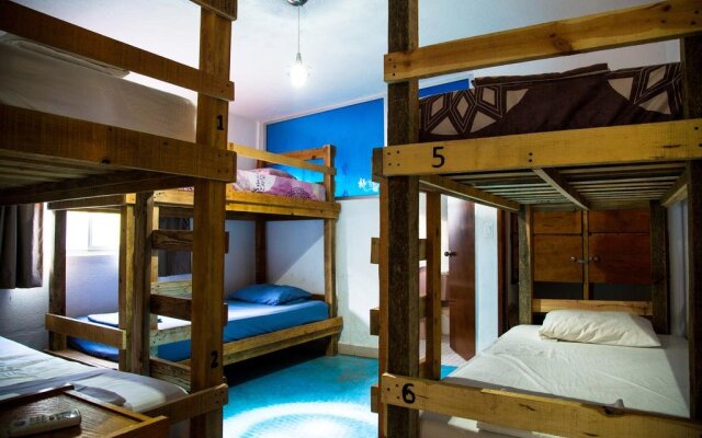 Ocean Tigers Hostel