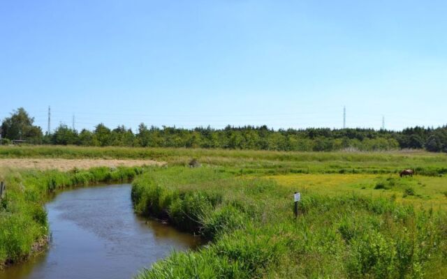 "Ahvo" - 22km from the sea in Western Jutland