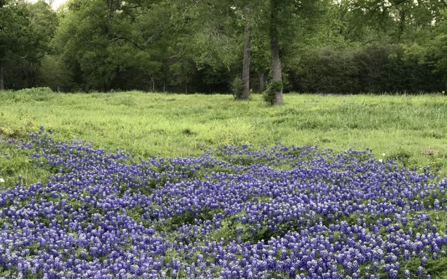 Brazos Bed and Breakfast