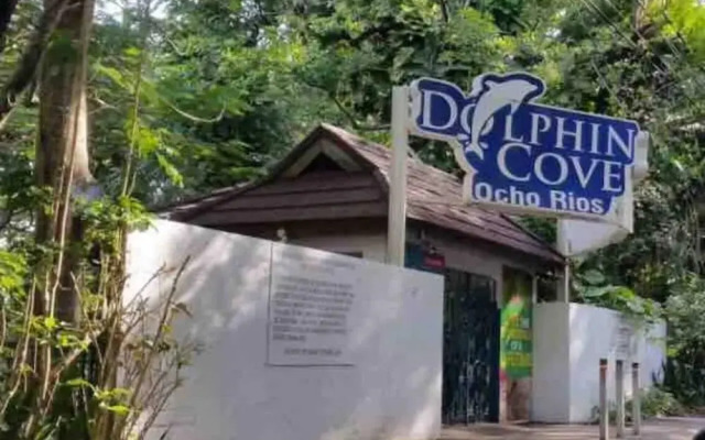 Immaculate 1-bed Villa in Ocho Rios