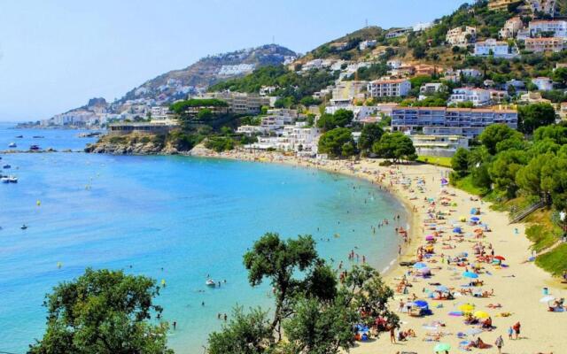 Delfin 9 J Canyelles Roses - Barneda Premium