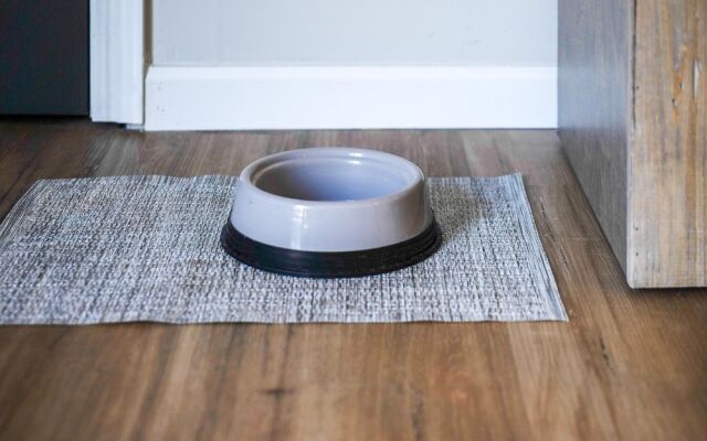 The Overbrook 2BR Pet-friendly Condo Lake Geneva