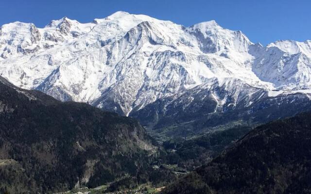 Fizhome Mt Blanc