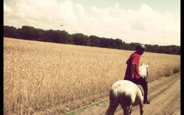Szerval Horse Riding Holidays