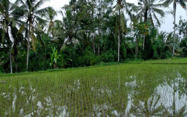 The Aura Private Villa