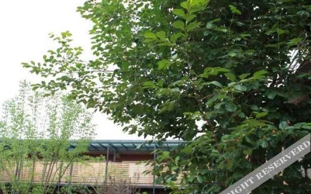 536 Yuan Hostel