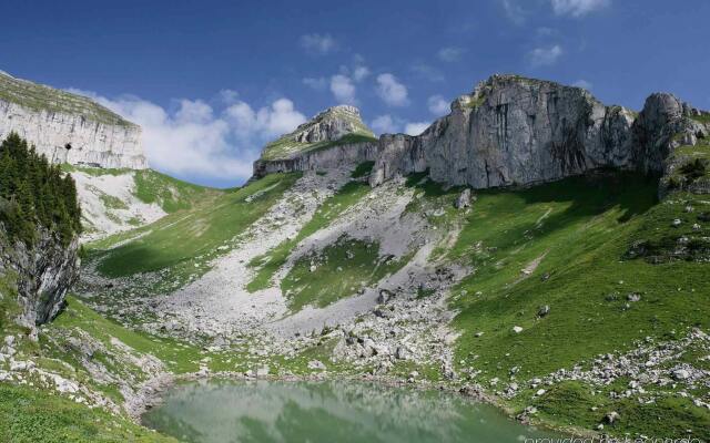 Alpine Classic Hotel Leysin