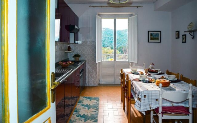 Easy Welcome Salvia - Cartolari County Apartments