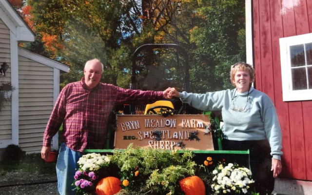 Bryn Meadow Farm and B&B