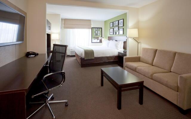 Holiday Inn Express Hotel & Suites Rogers, an IHG Hotel