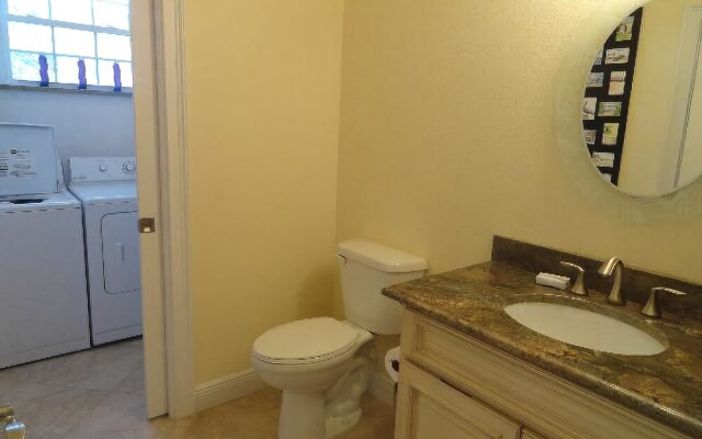 Sand Dollar by RedAwning