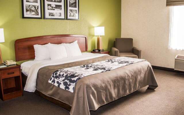 Sleep Inn & Suites Allendale